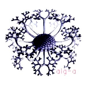 Alg-a Laboratório Comunidade de arte e acción libre | Centro social 2.0 | Medialab Autoxestionado