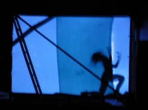 Imagen de Jose Milara